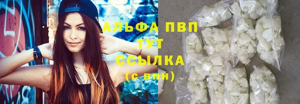 прущие крисы Новозыбков