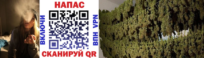 Конопля конопля  Купить  Самара 